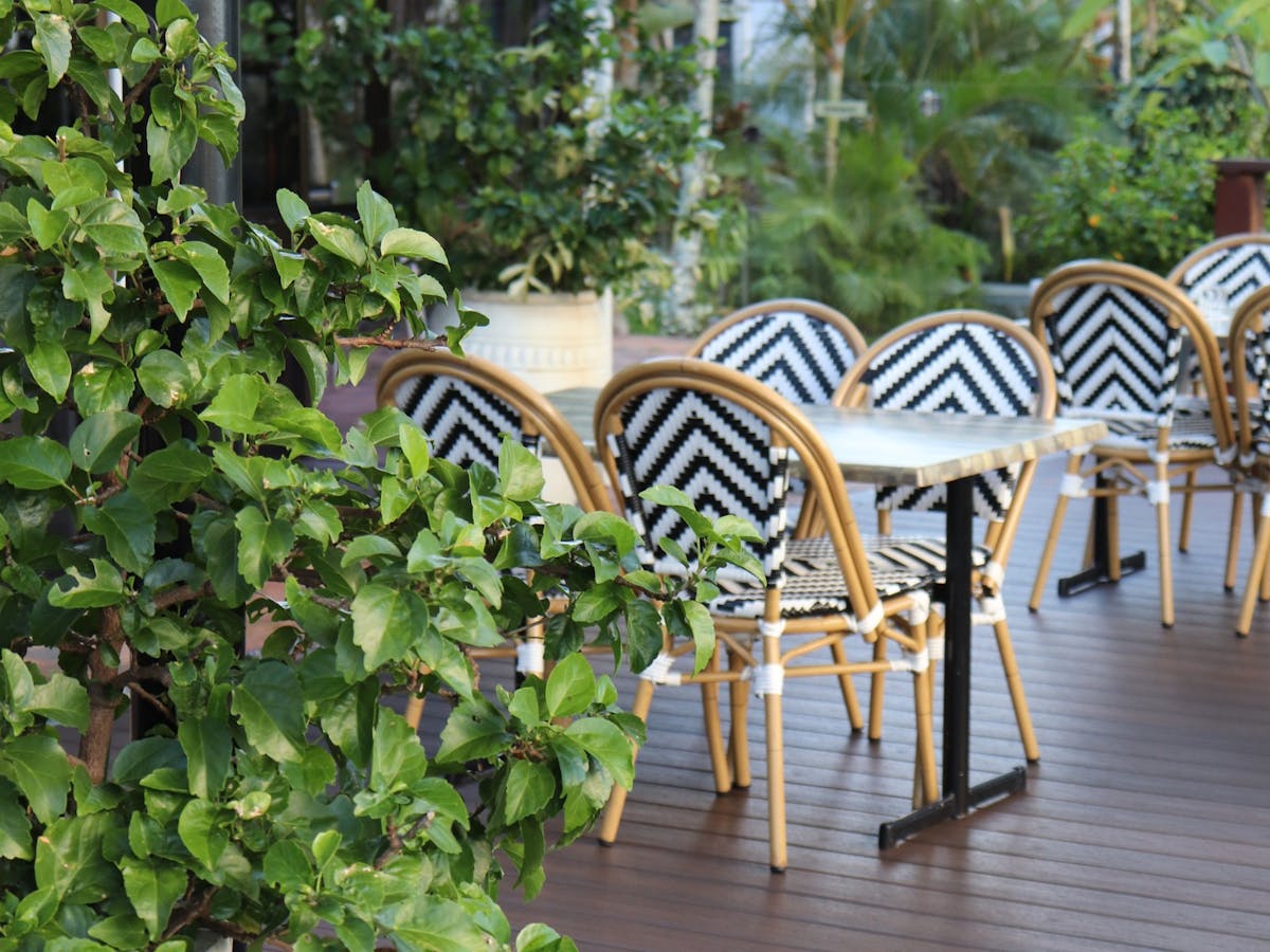 The Deck