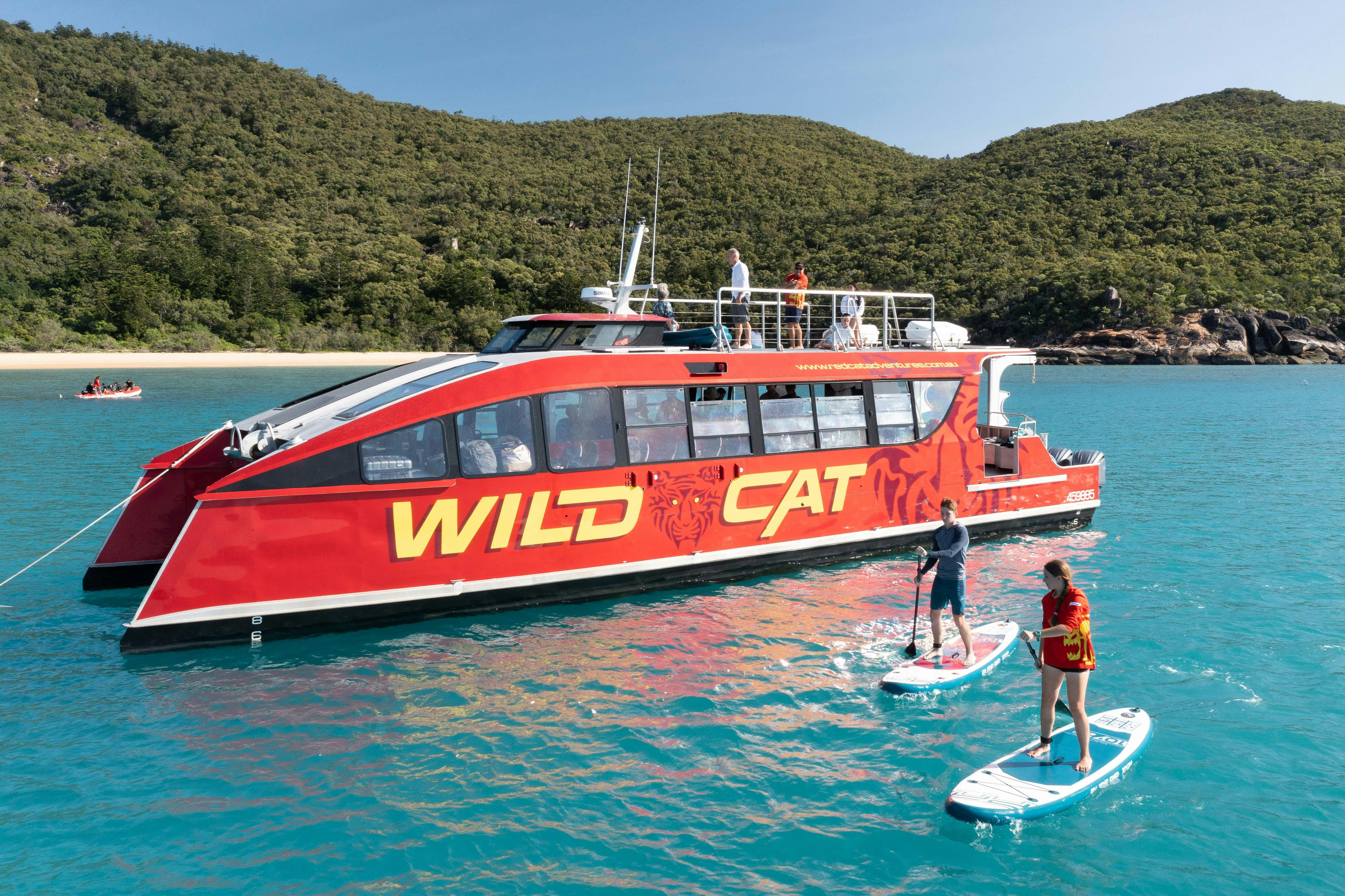 Wildcat Mackay with Paddleboarders