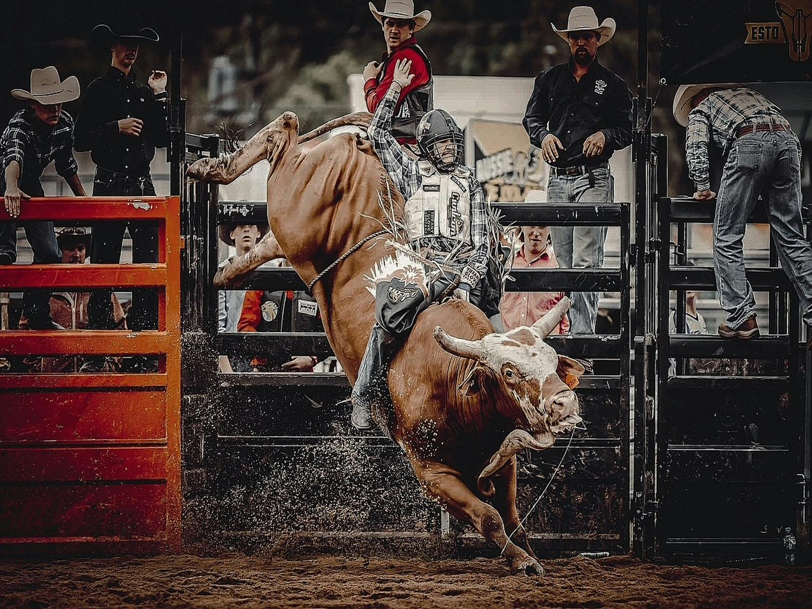 Redland Coast Rodeo - J&J Rodeo