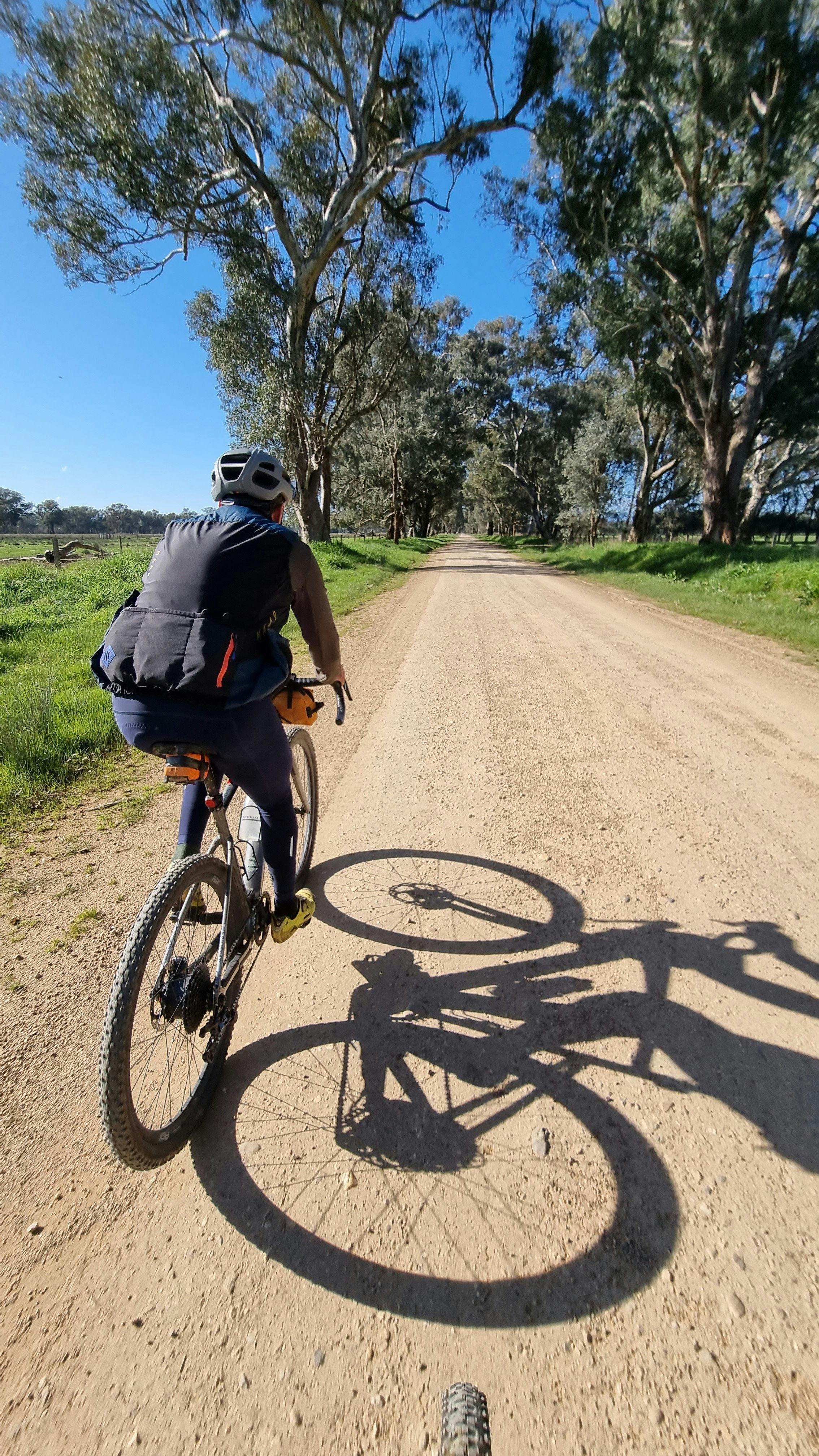 Cyclist on right on gravel rd, shadow, green grass, gum trees, blue sky