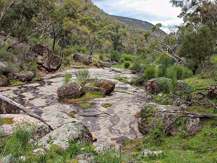 Lynchs loop trail, Weddin Mountains National Park. Photo: C Davis