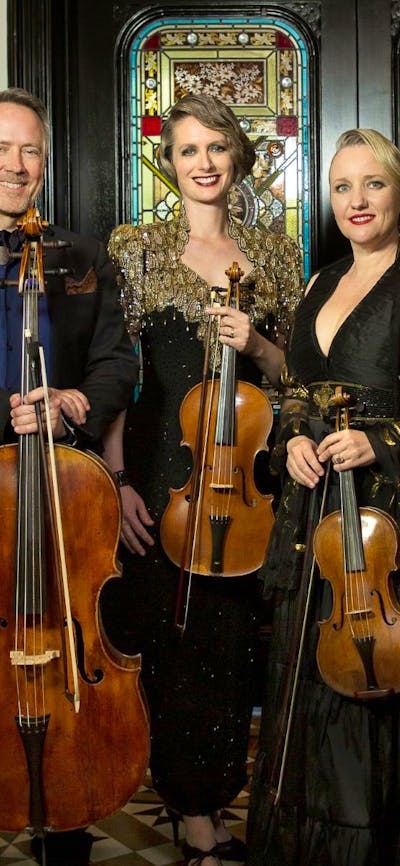 4 people with string instruments