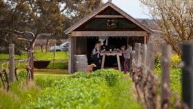 In the midst of our vineyard