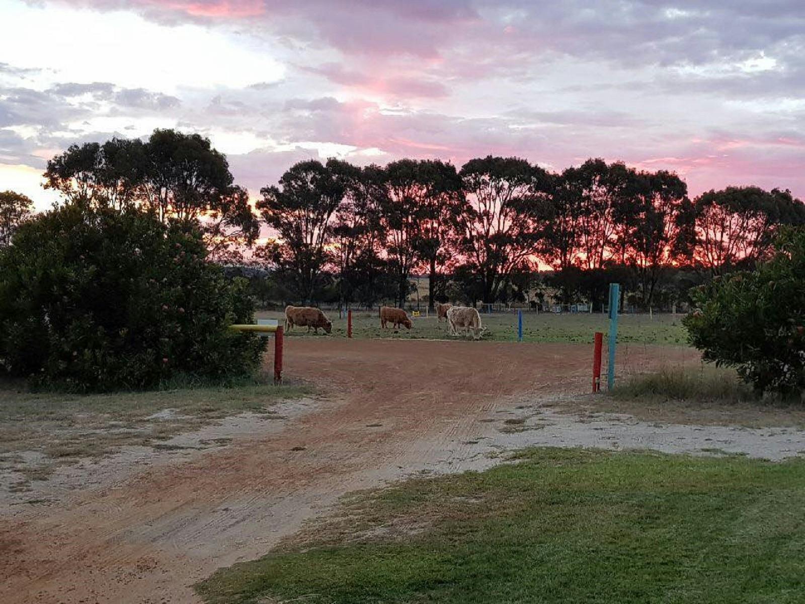 Esperance Bird and Animal Park, Gibson, Western Australia
