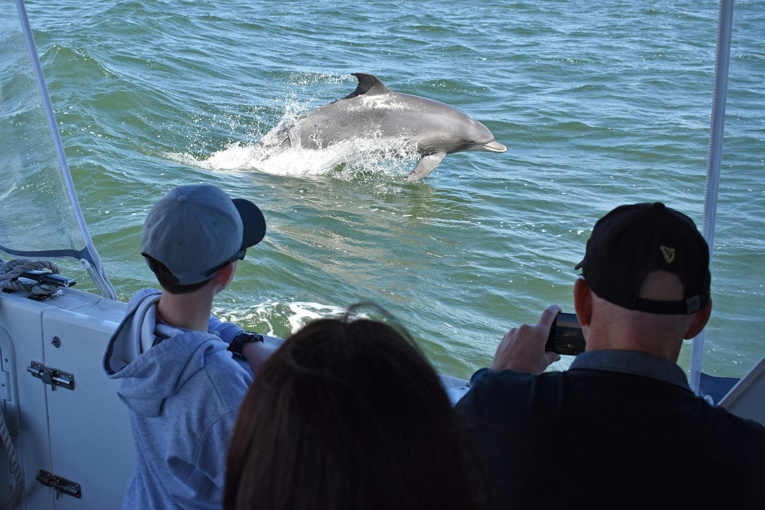 Mandurah Cruises, Mandurah, Western Australia