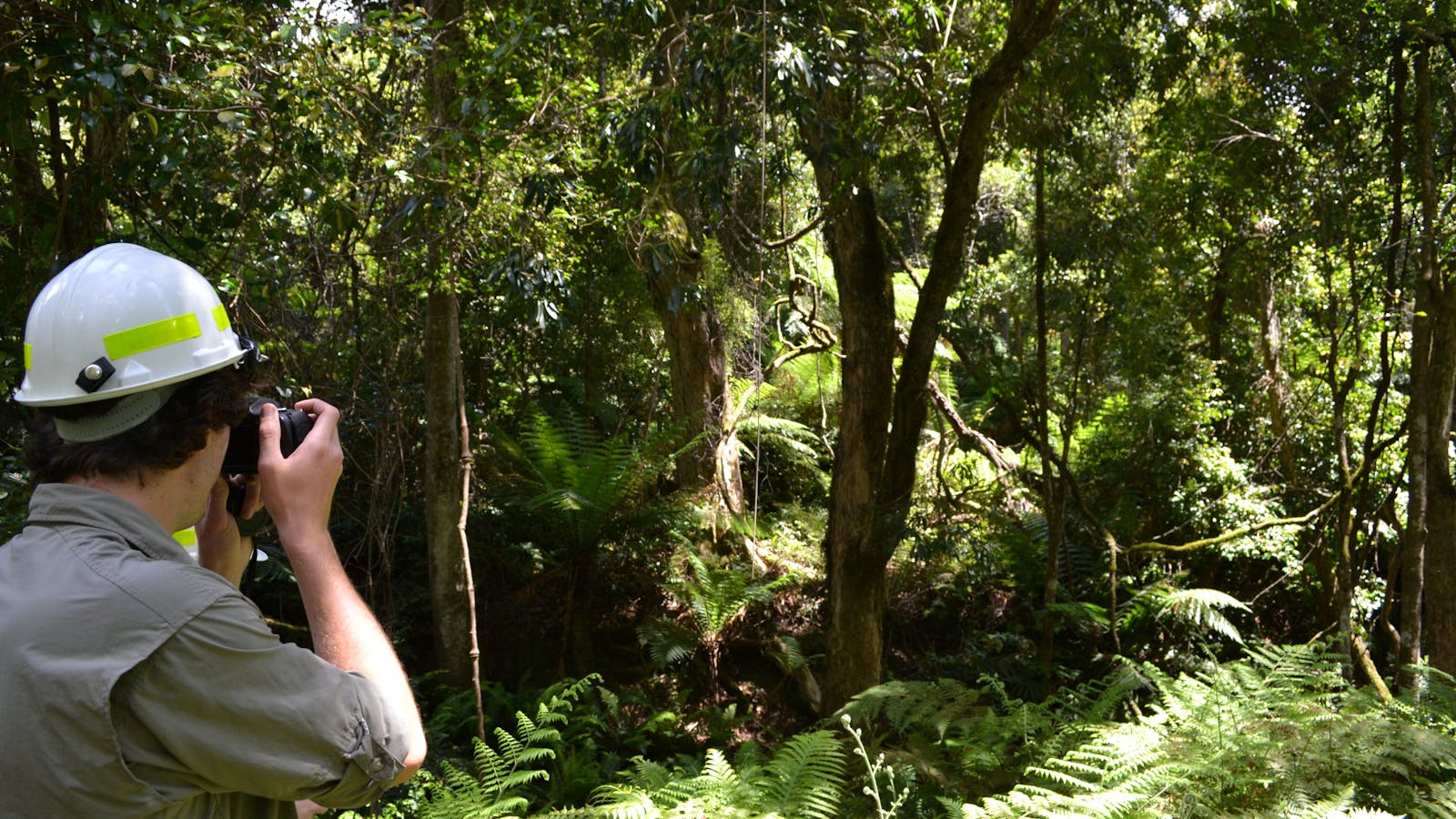 Alfred National Park