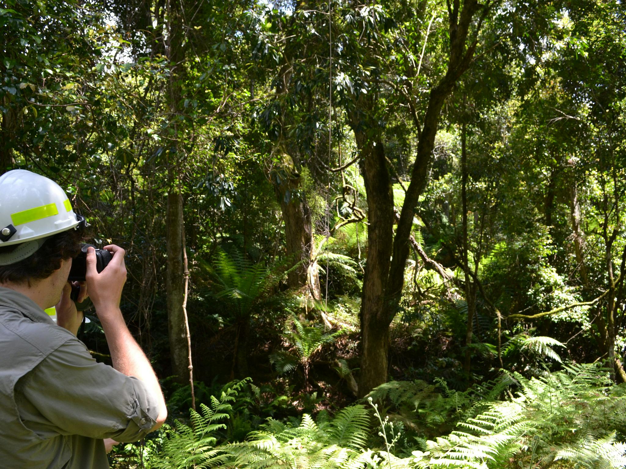 Alfred National Park