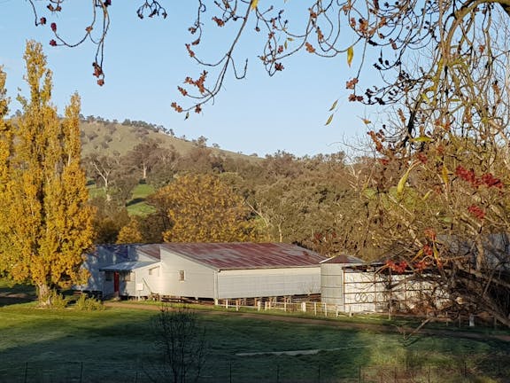 Writers at the Woolshed