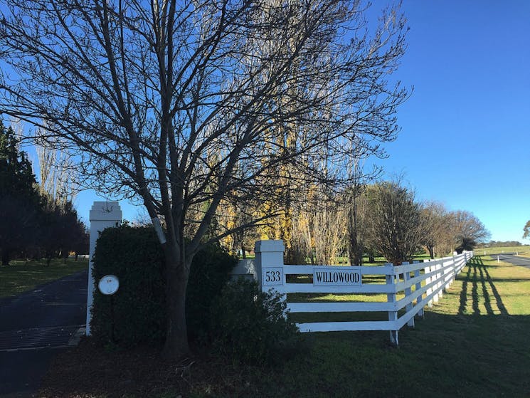 Willowood NSW Holidays & Things to Do, Attractions and