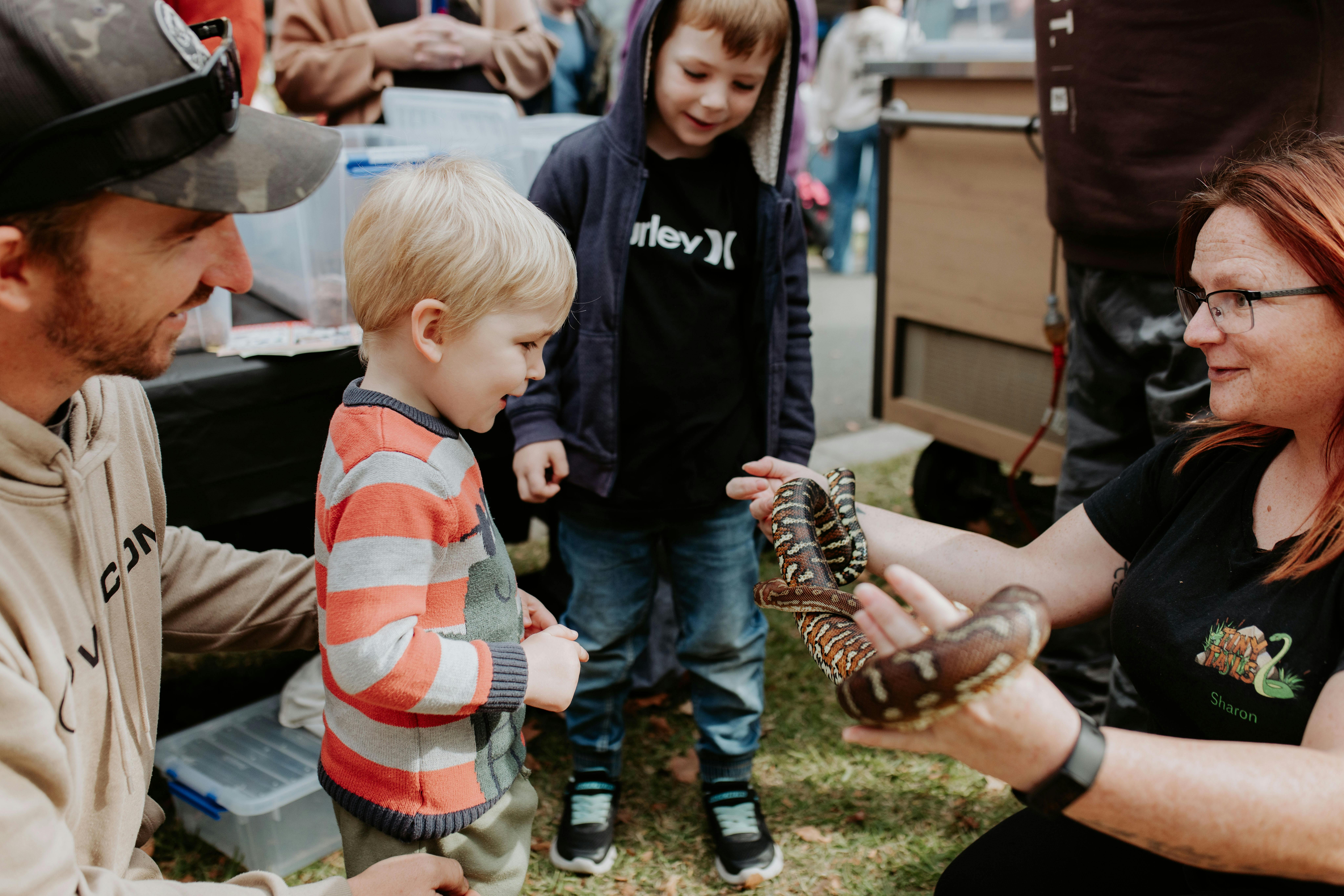 Tatura Market Reptiles