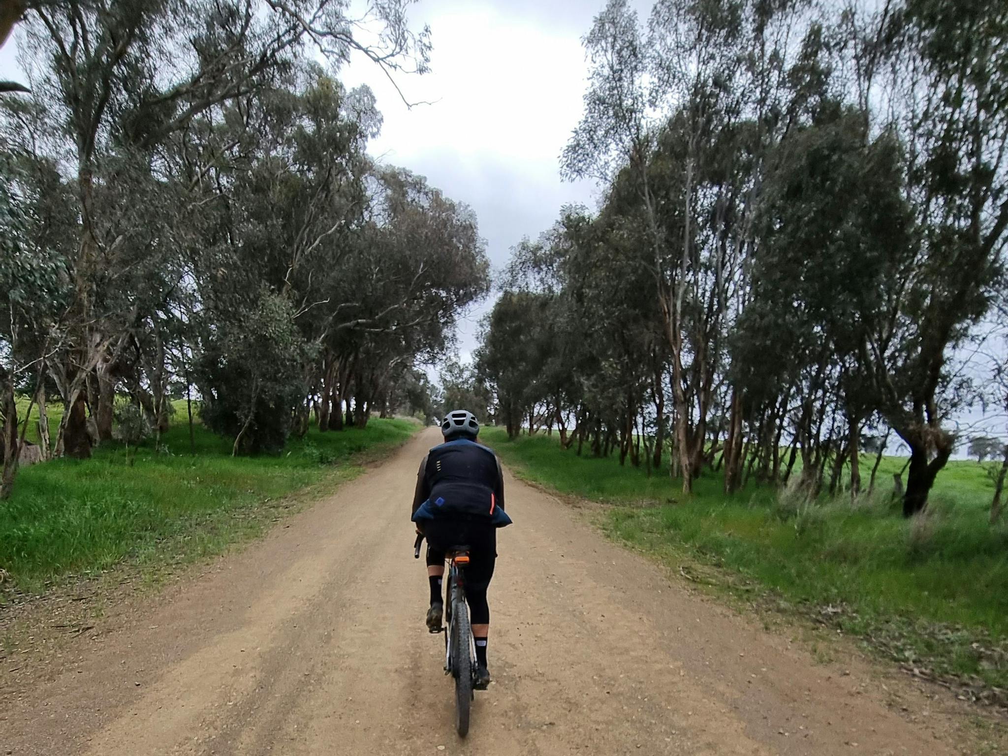 Cyclist on Gravel Road, gum trees and grass on both sides of road, cloudy sky