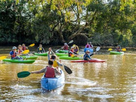 Group of people in kayaks on Werribee River