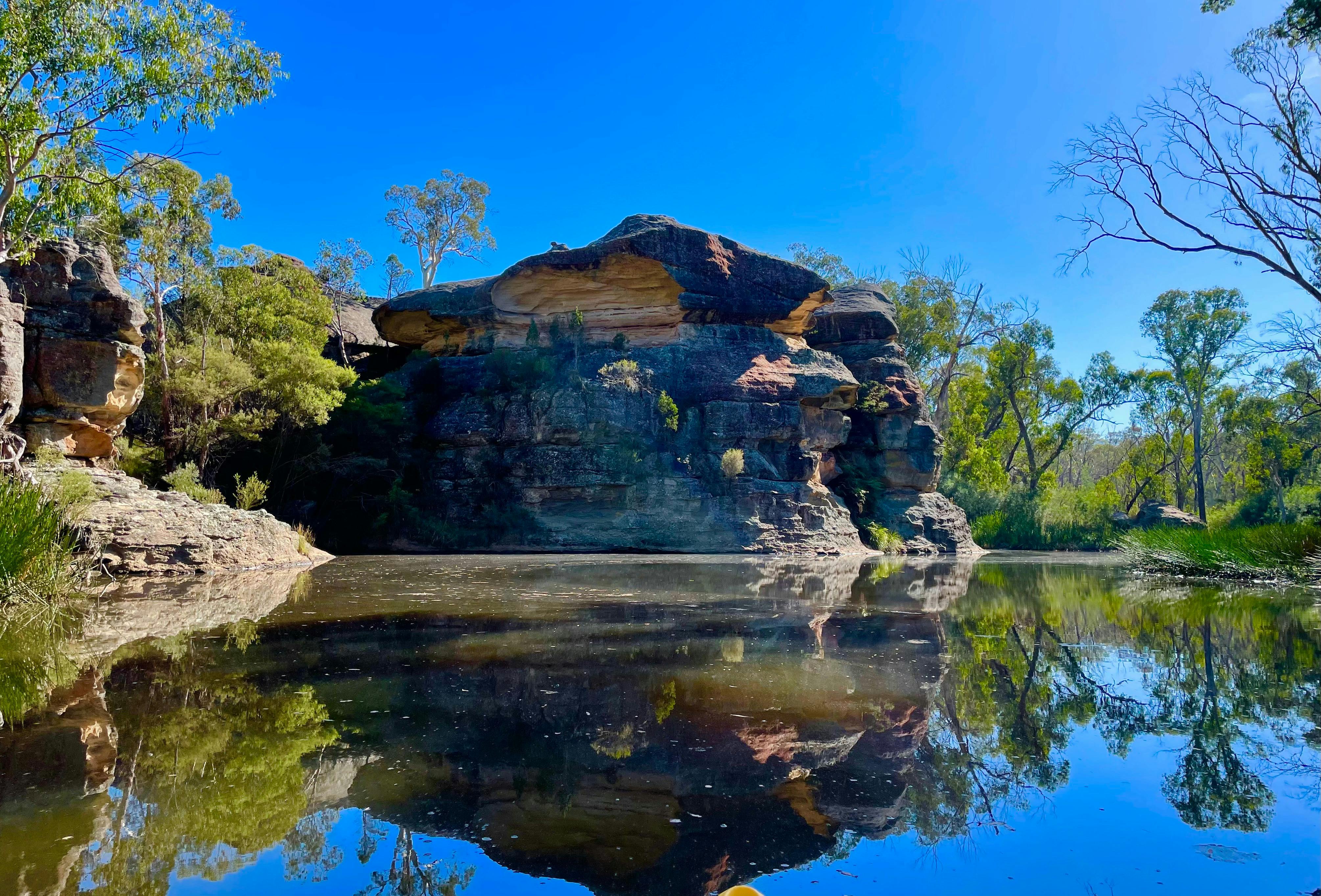 Friday on my Mind Guided Kayak Tour at Ganguddy