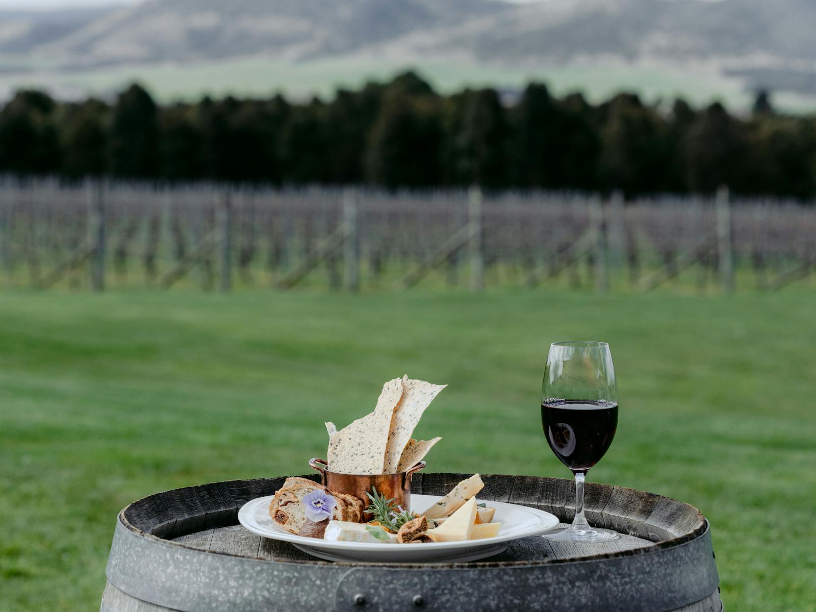 Wine and Cheese at Frogmore Creek