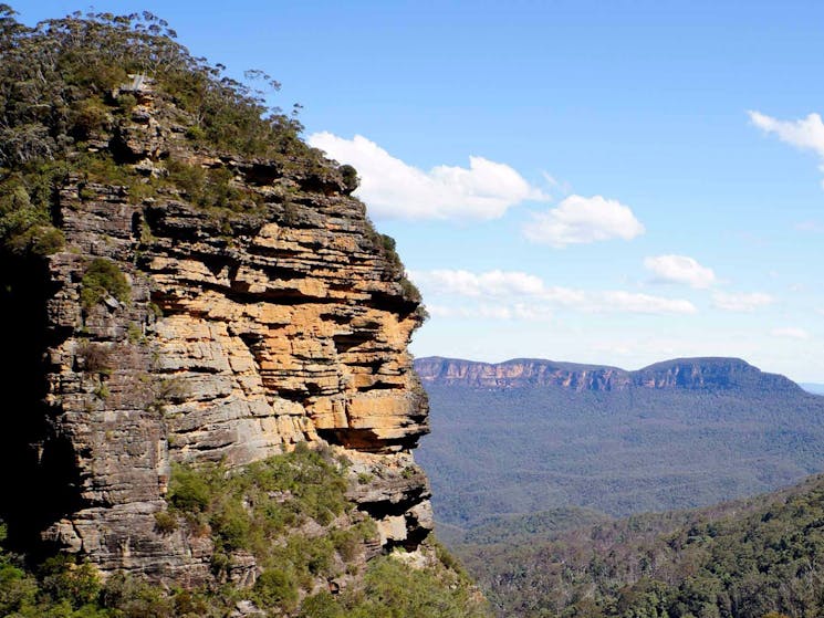 Leura Cascades - Fern Bower Circuit, Blue Mountains National Park. Photo: Steve Alton