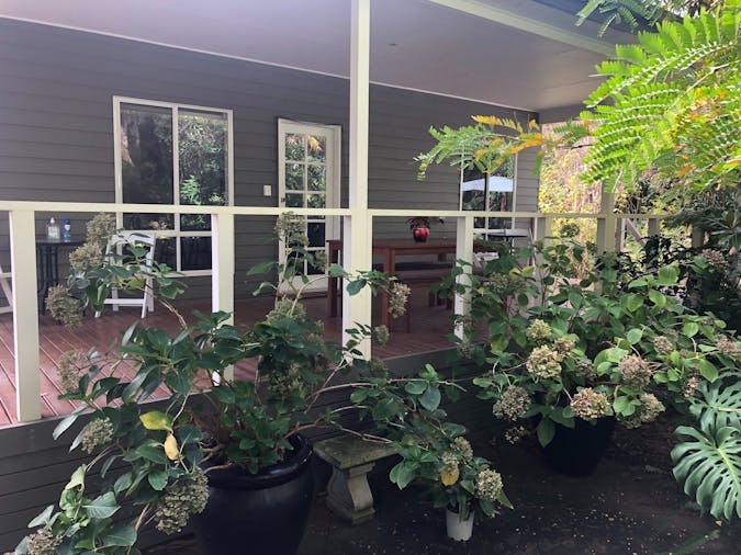 Rainforest Retreat (1)