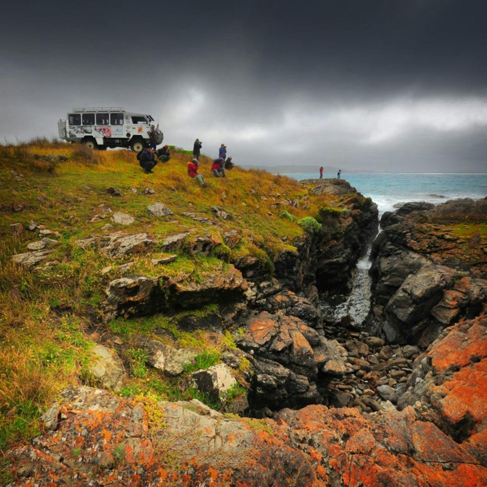 King Island Tours