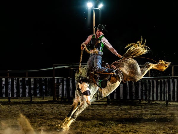 Bedourie Rodeo