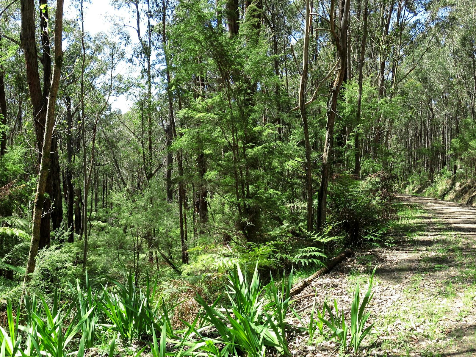 Tyers Park