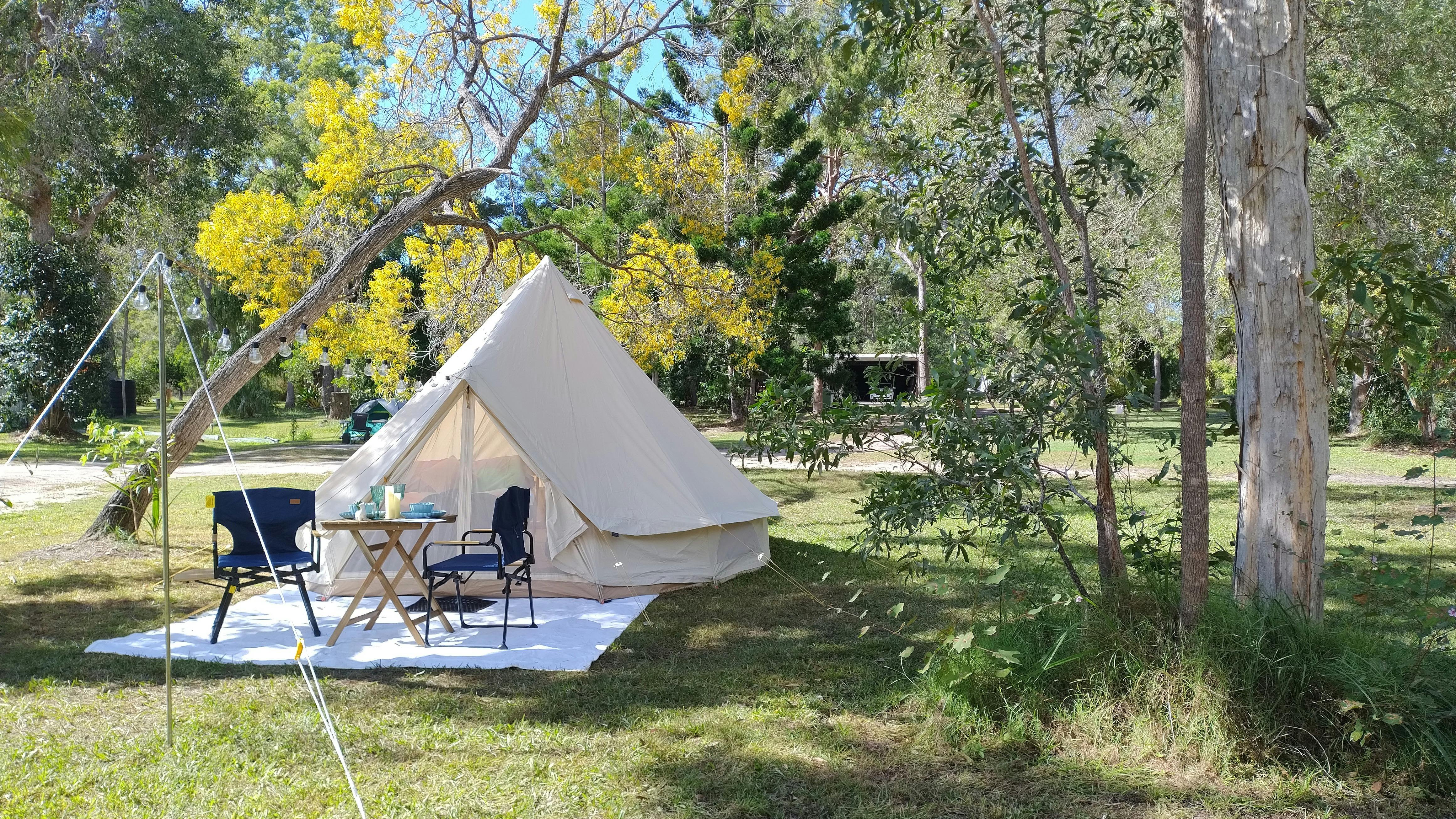 Bell tent setup in a lovely bush setting