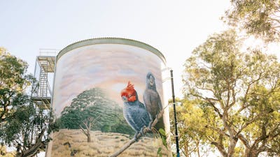 Murrumbateman Water Tank Mural