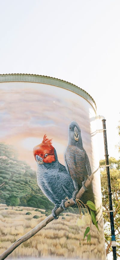 Murrumbateman Water Tank Mural