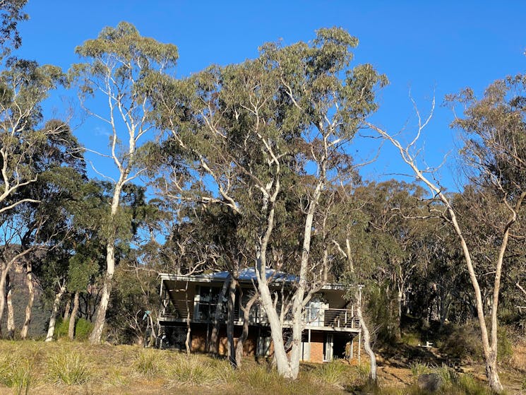 House is set on 168 acres of bushland