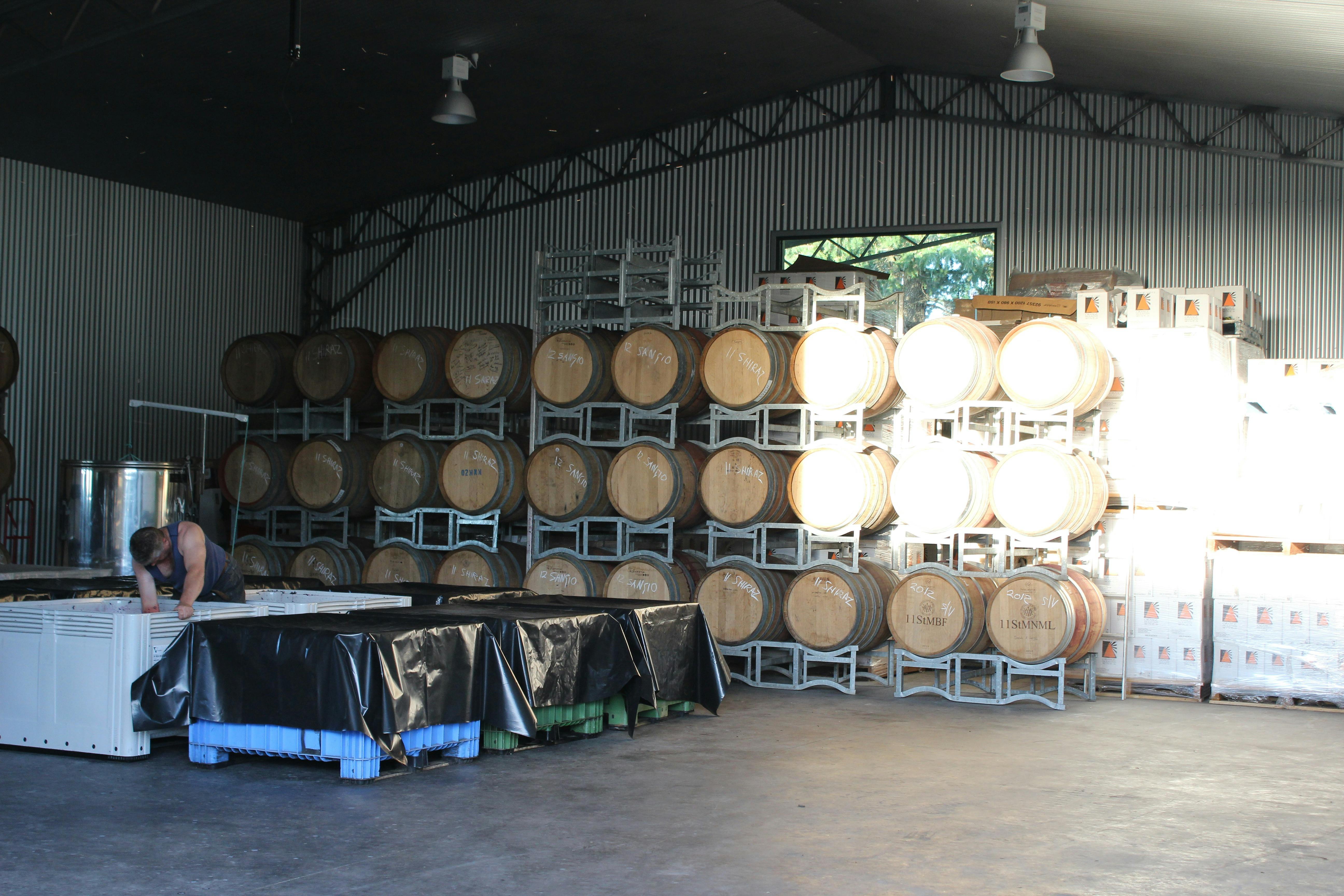 wine barrels in temperature controlled environment during vintage
