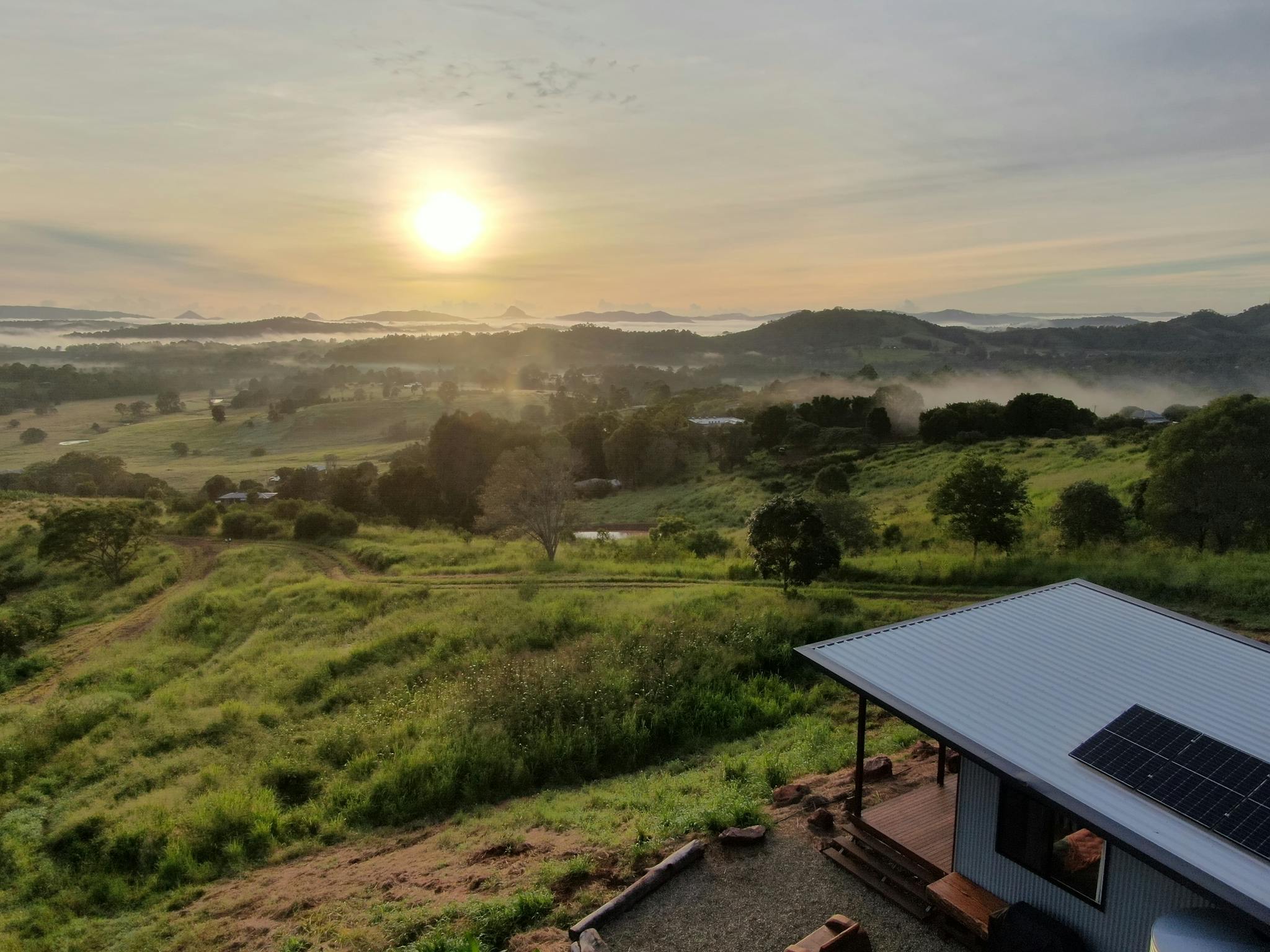 The Avocado Tree Farm