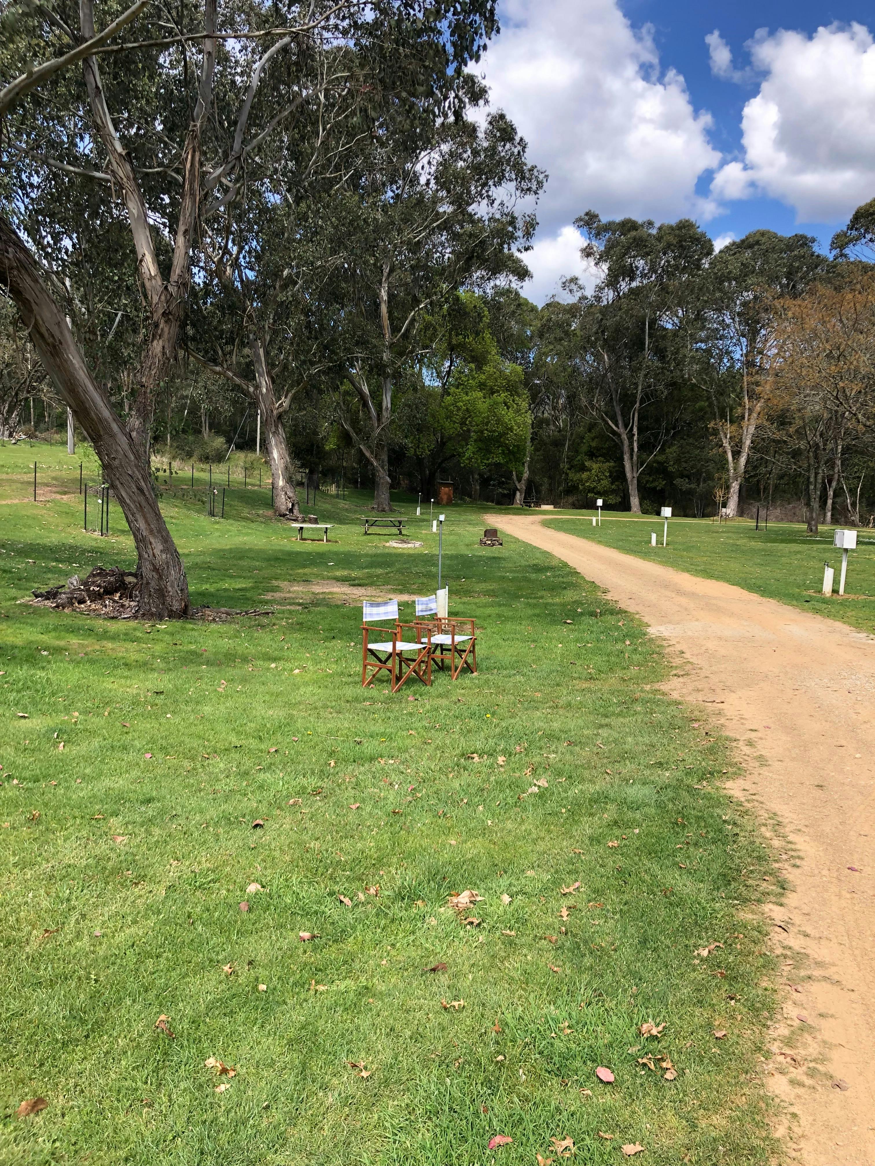 Spacious Grass Sites at Wandiligong Camping Ground