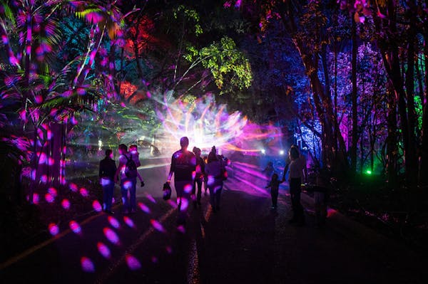 Luminous