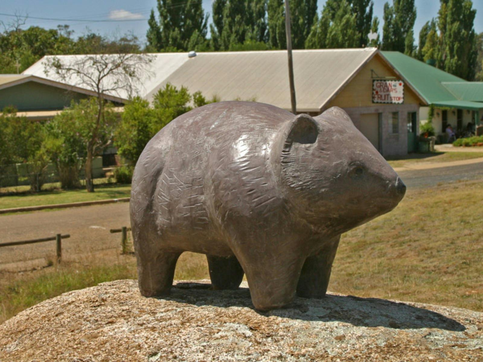 Image for Wombat Swap Meet