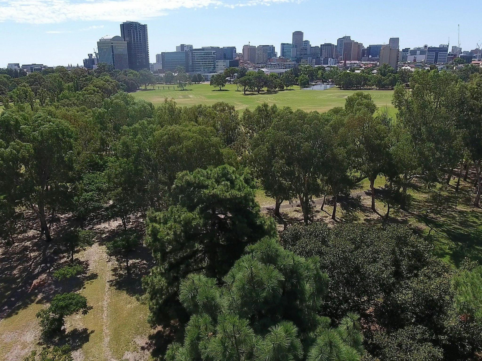 Adelaide Park Lands Walking Tours Slider Image 1