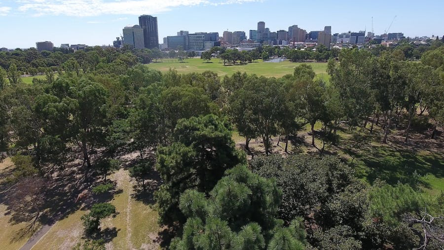 Adelaide Park Lands Preservation Association