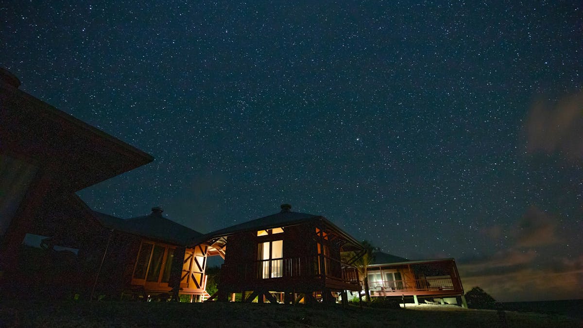 Stars over Camp Island