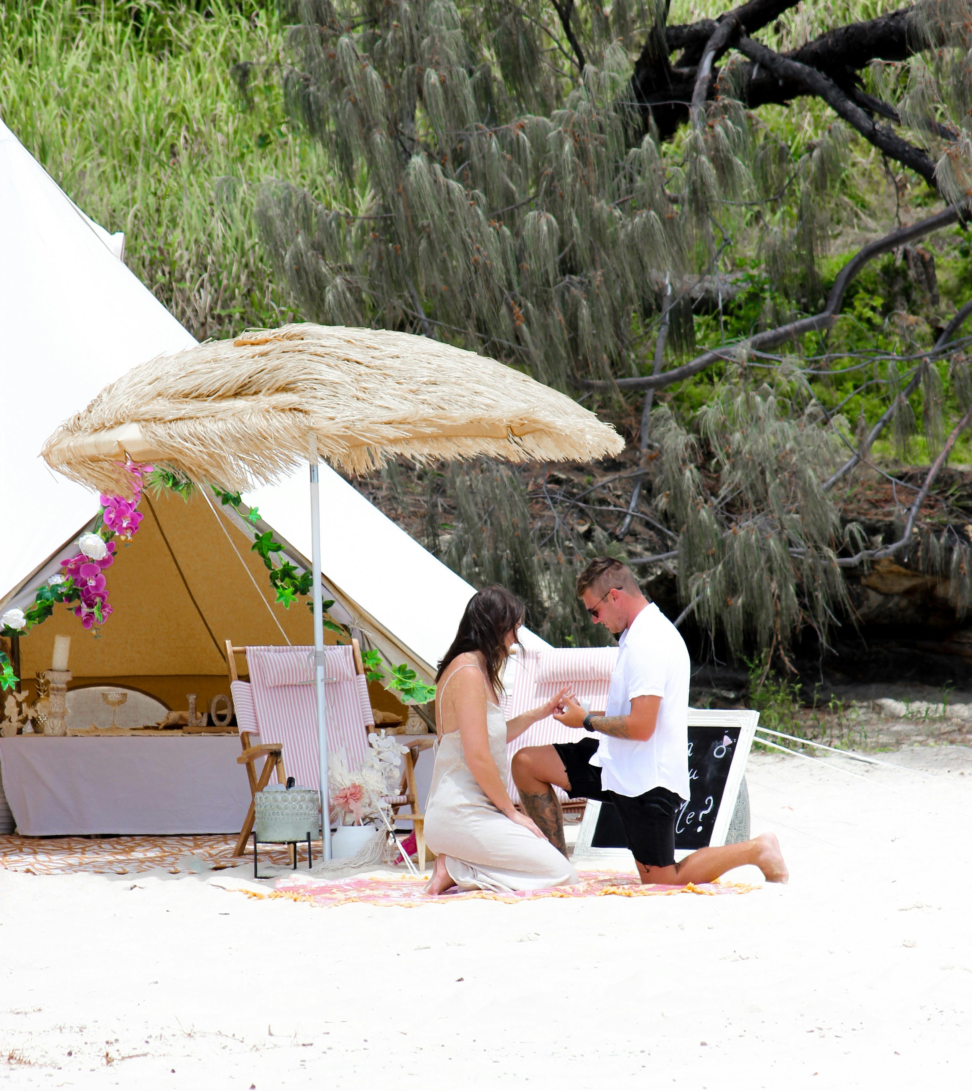 Proposal Picnics