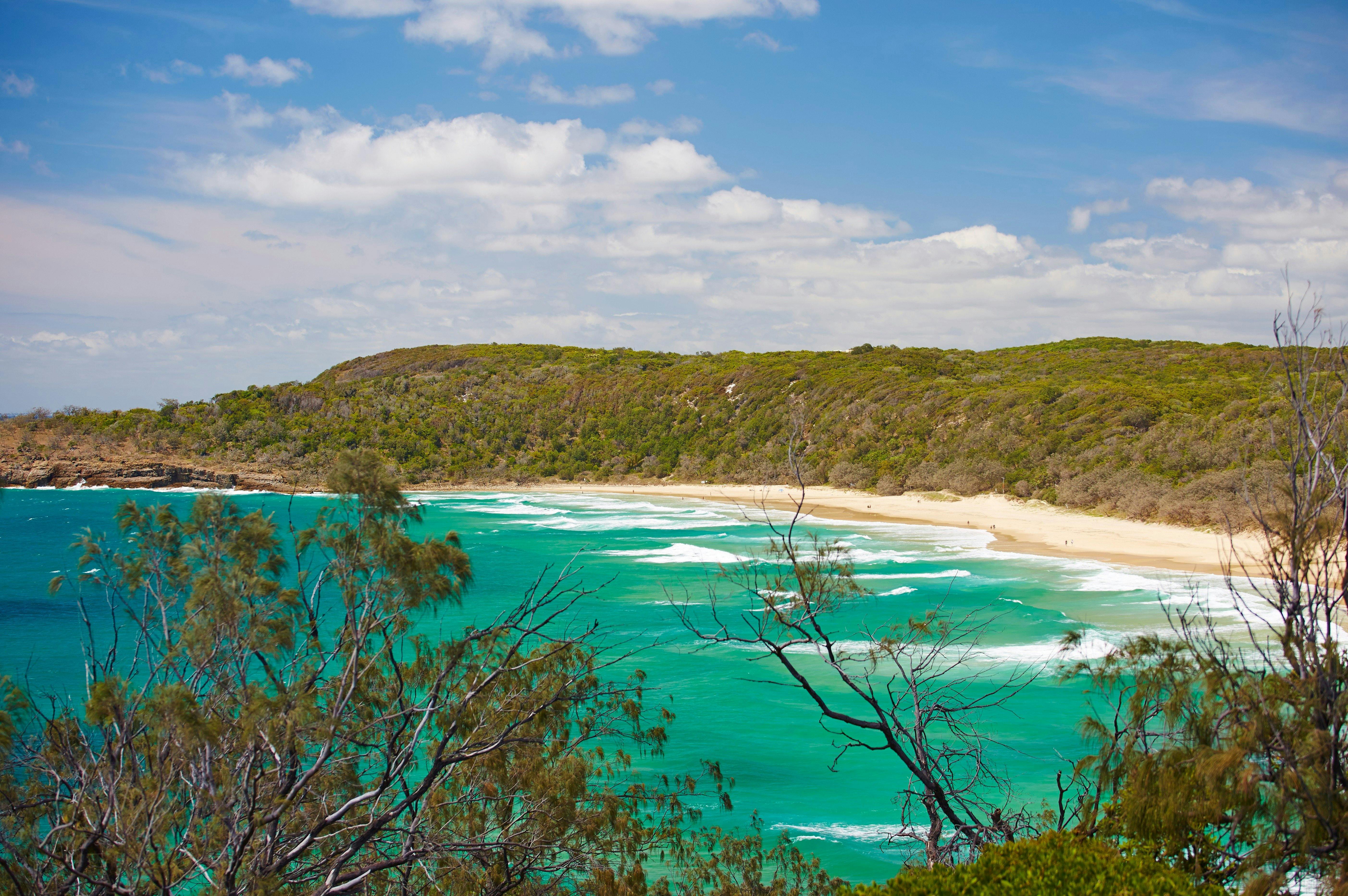View over green ocean towards forested headland.