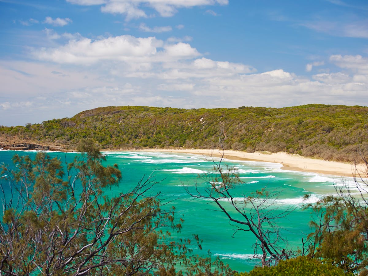 View over green ocean towards forested headland. View over green ocean towards forested headland.