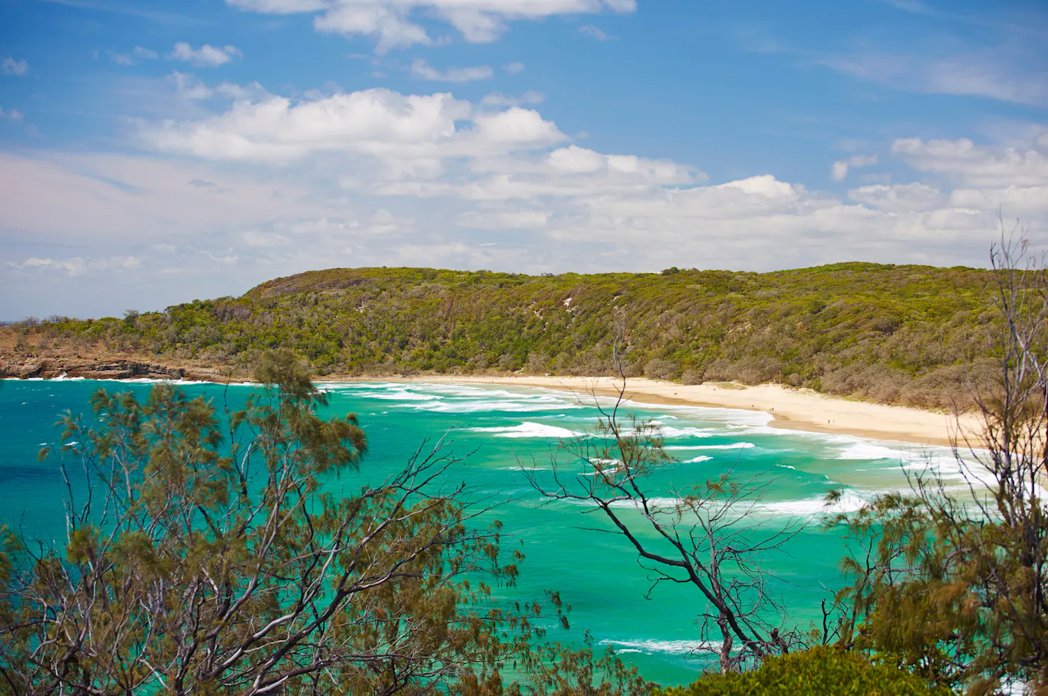 View over green ocean towards forested headland.