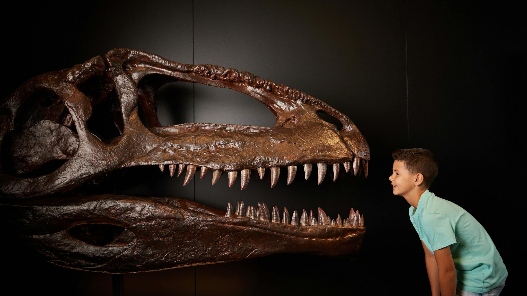 Dinosaurs of Patagonia at Queensland Museum