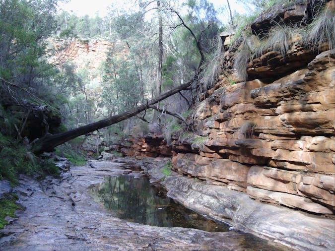 1 Day Flinders Ranges Tour Southern Ranges SWTSFR01