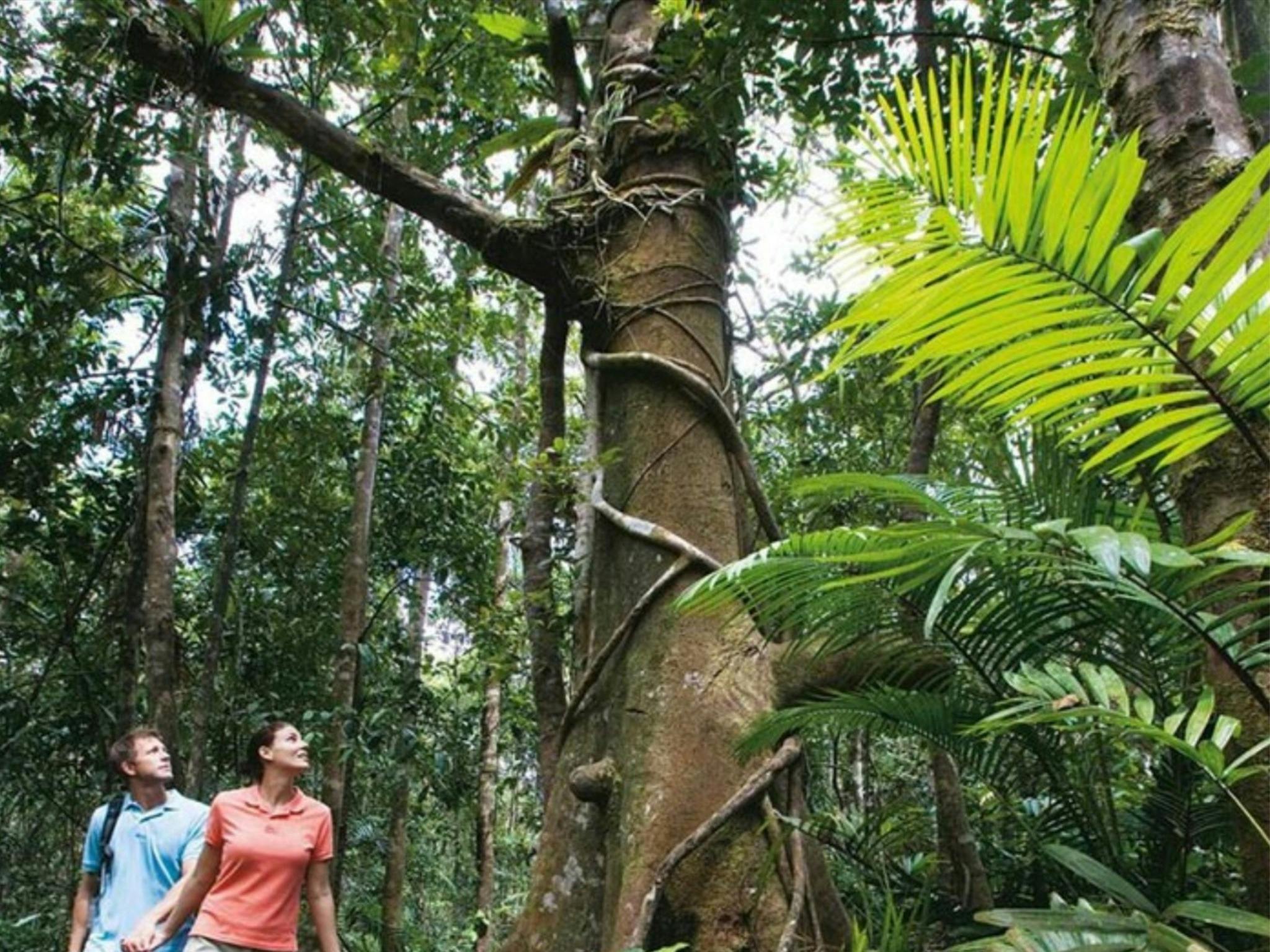 Dunk Island