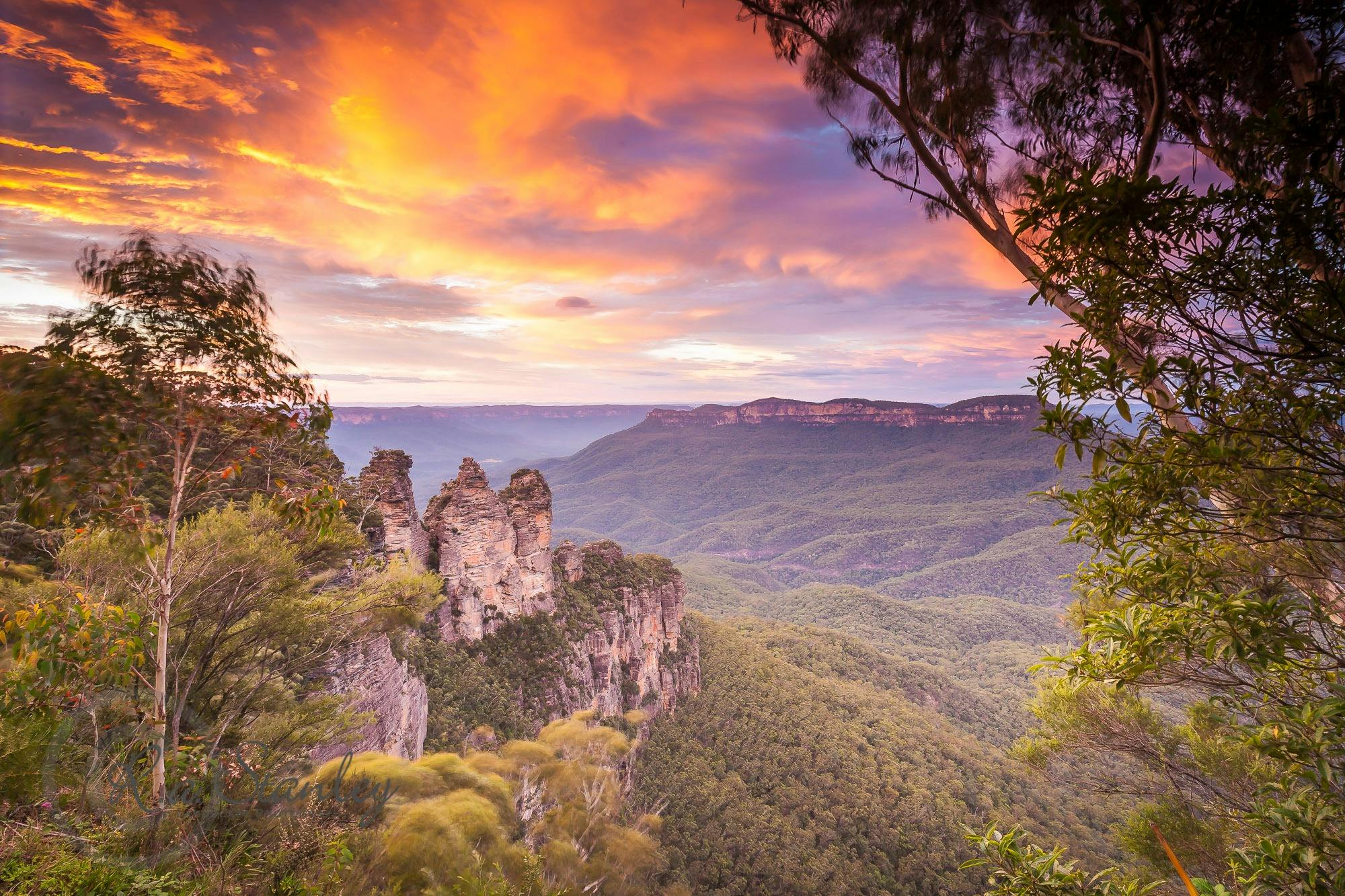 Blue Mountains Private Day Tour, Fully inclusive Blue Mountains Tour, Top Rated Blue Mountains Tour,
