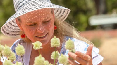 Visitor looking at beautiful white flowers