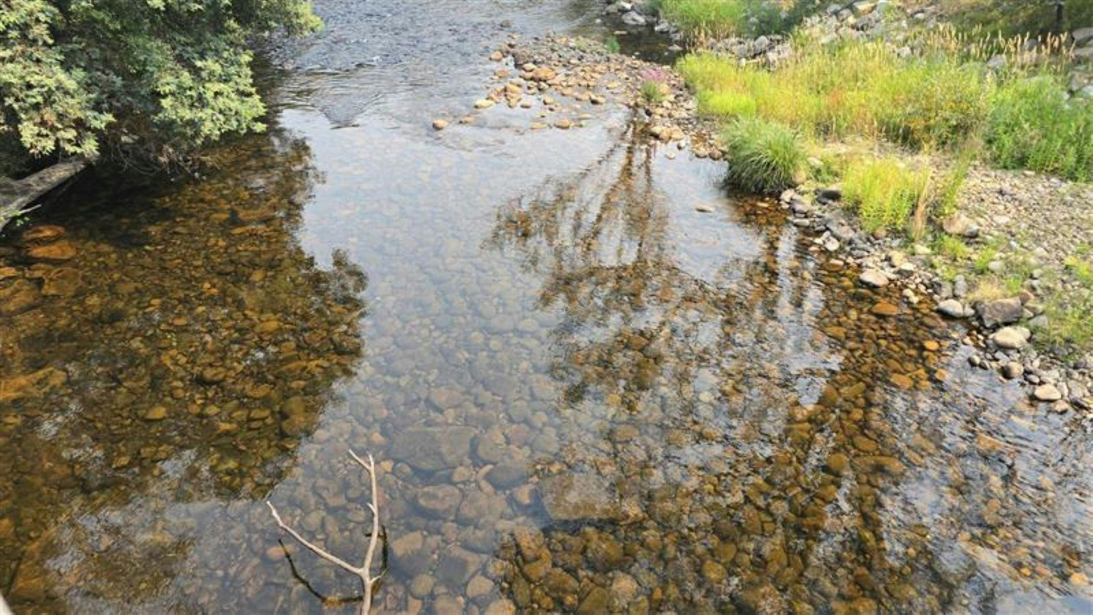 Clear river wih a rocky bottom, flowing through a grassy reserve