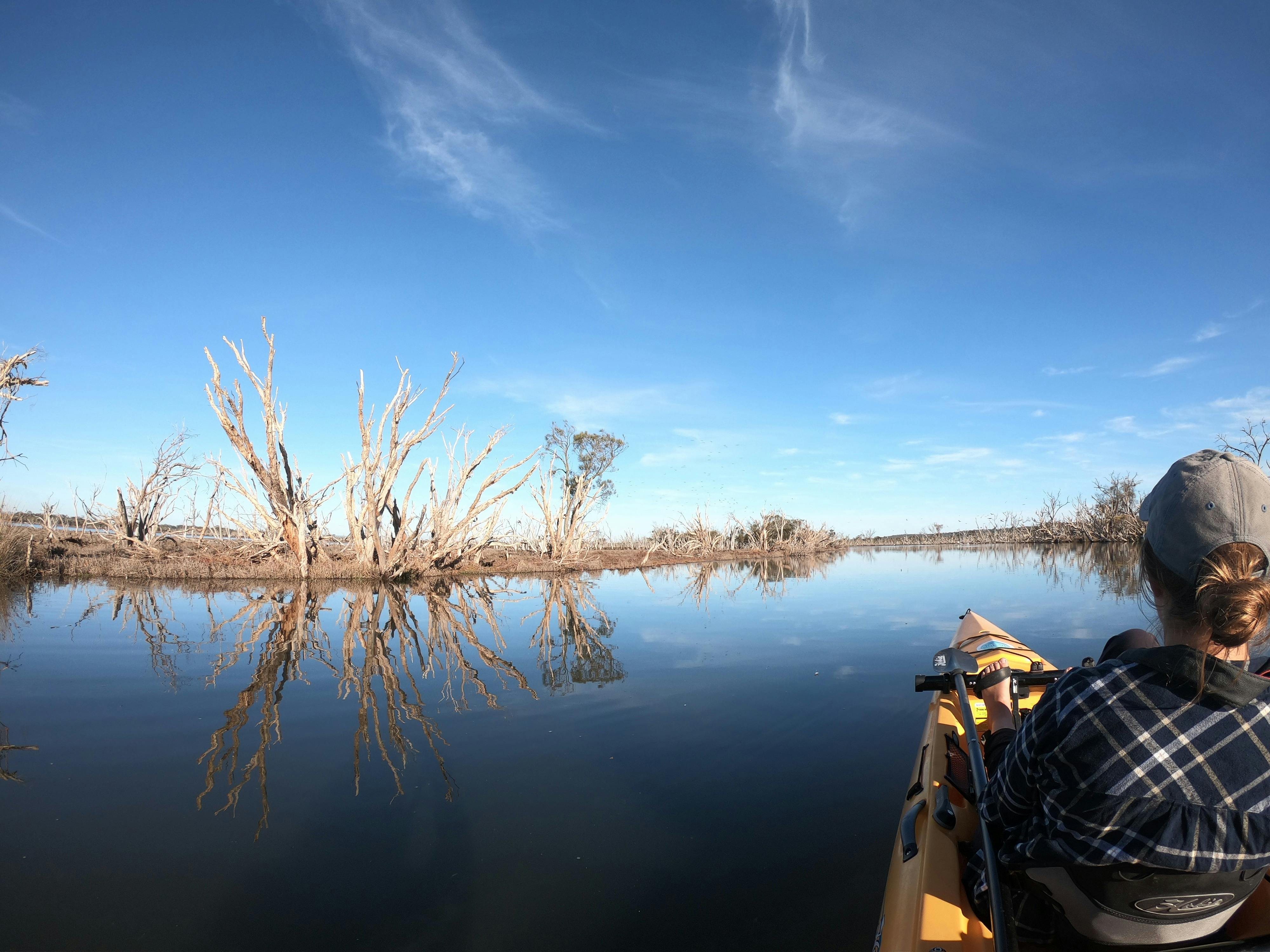 Salt and Bush Eco Tours, Herron, Western Australia