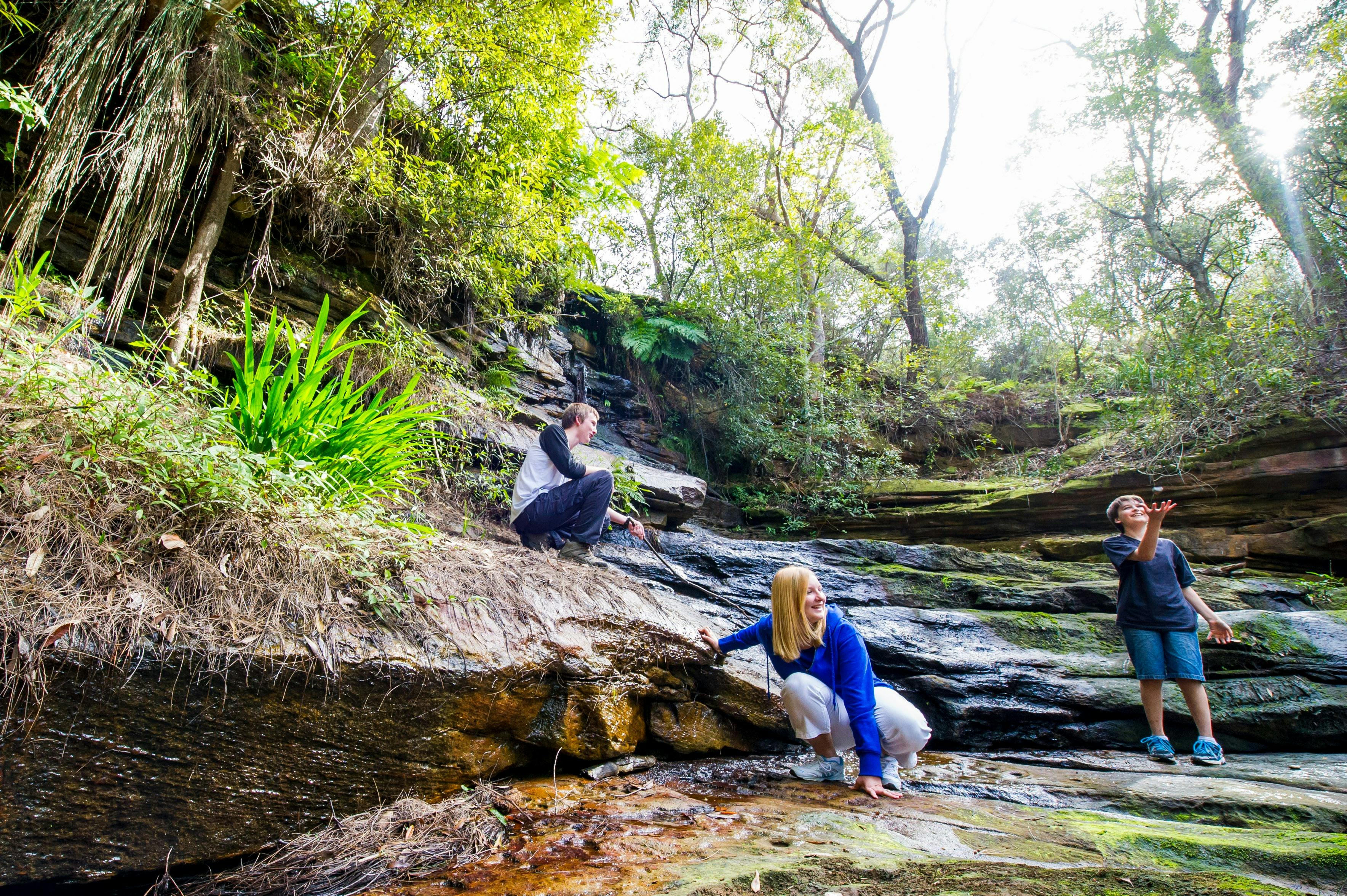 Walk in the Northern Beaches