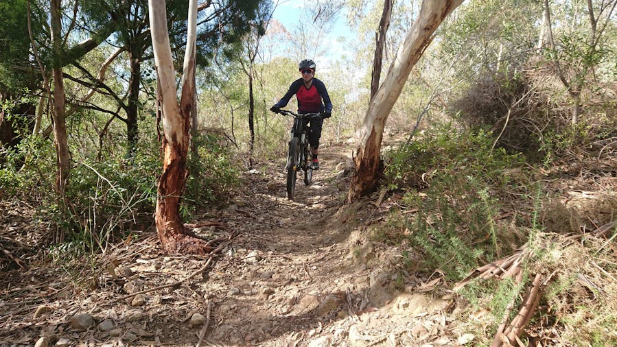 Mountain Bike Technique Development for Women