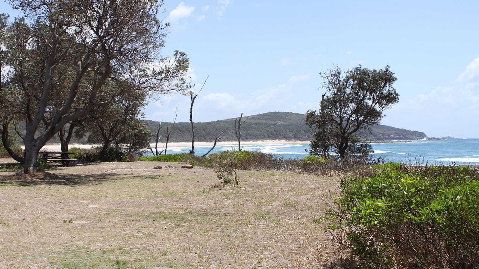 Shelley Beach
