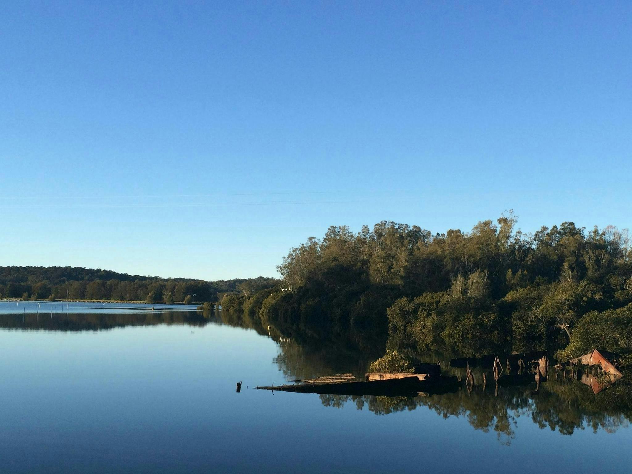 Soak up the local atmosphere at Moruya Summer Fair